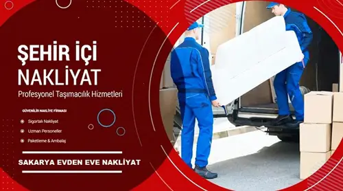 Şehir İçi Taşımacılık